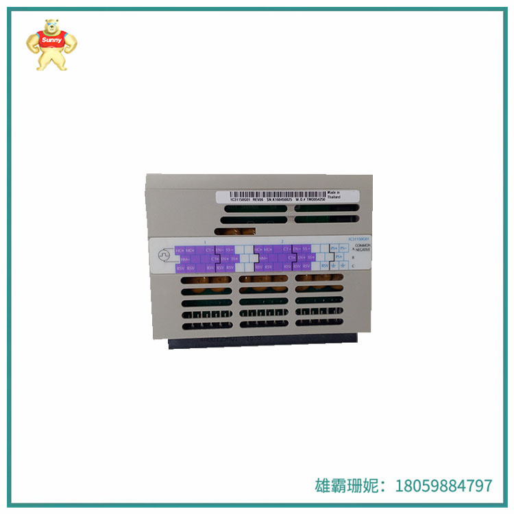 1C31194G01  1C31197G01 | 阀定位器电子模块  |1C31189G01 | 1C31169G02
