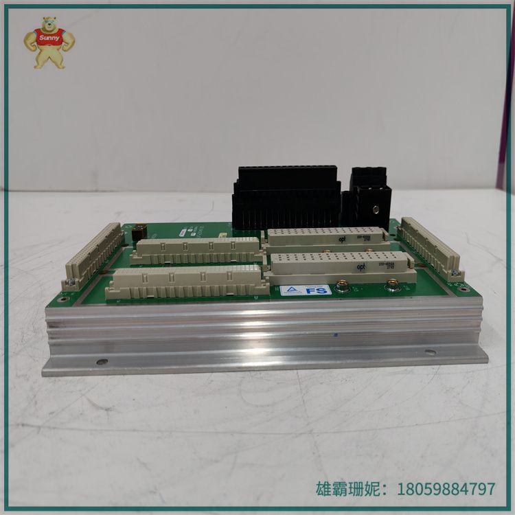 TRICONEX CM2201 7400206-100 |  安全 I/O 模块